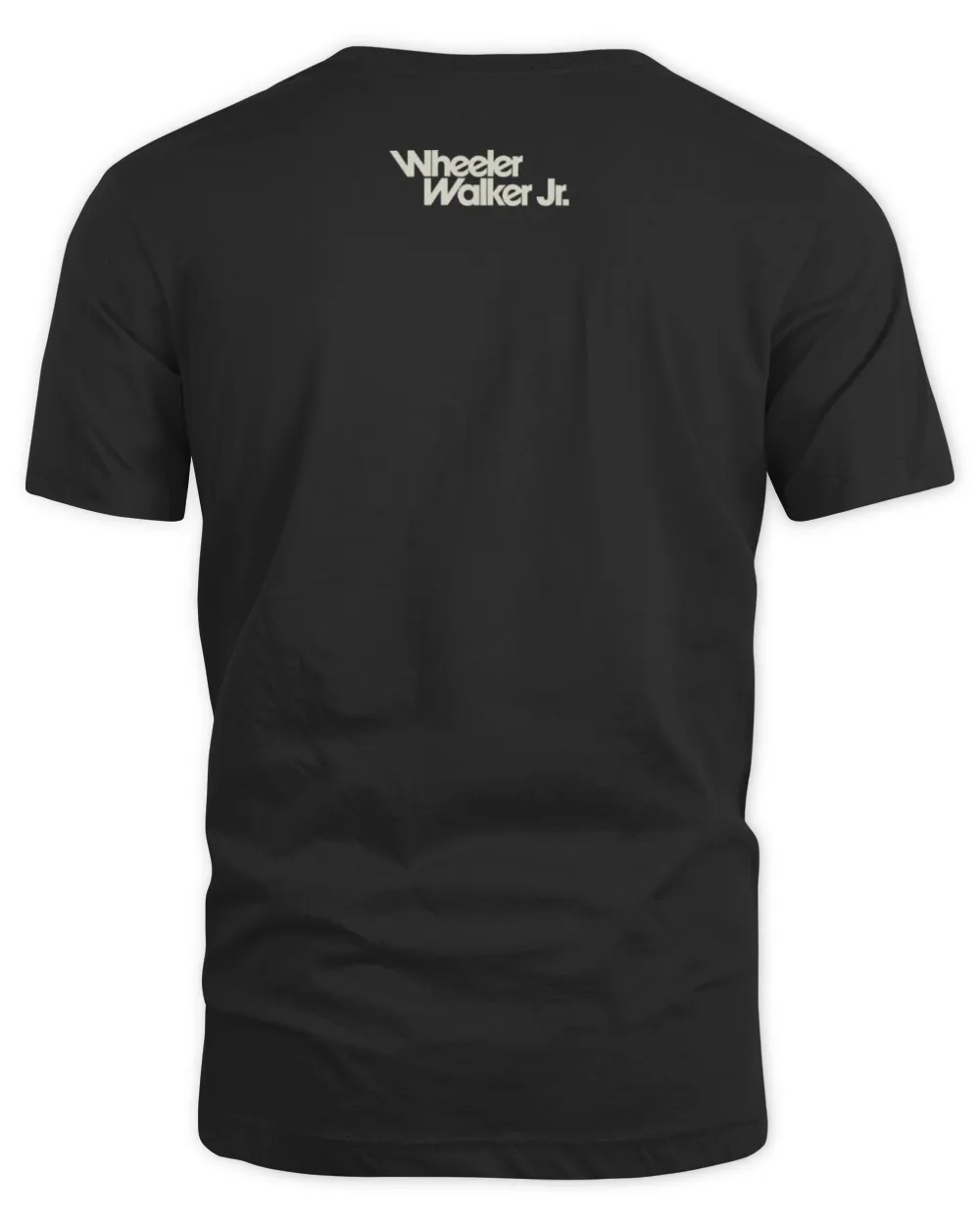 Wheeler Walker Jr Merch Money N' Bitches Shirt Unisex Standard T-Shirt black s