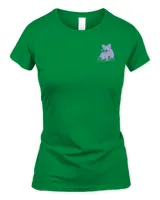Women's Soft Style Fitted T-Shirt Women's Soft Style Fitted T-Shirt