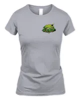 Women's Soft Style Fitted T-Shirt