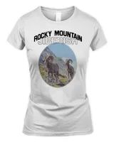 Women's Soft Style Fitted T-Shirt Women's Soft Style Fitted T-Shirt