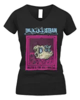 Women's V-Neck T-Shirt Women's V-Neck T-Shirt