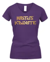 Women's V-Neck T-Shirt Women's V-Neck T-Shirt