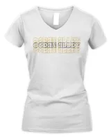 Women's V-Neck T-Shirt Women's V-Neck T-Shirt