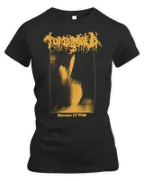 Women's Premium Slim Fit Tee Women's Premium Slim Fit Tee
