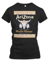 Women's Premium Slim Fit Tee Women's Premium Slim Fit Tee